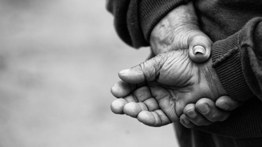 Poljoprivrednici bez svog zastupnika u EU parlamentu