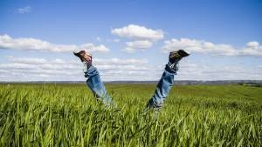 Na vjetrometini europske poljoprivrede