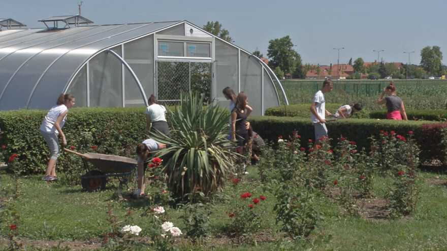 Rad na ekonomiji, deo stručne prakse za učenike Poljoprivredne škole u Valjevu