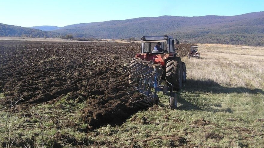 Vukove tjeraju petardama, mine još prijete, a zbog poticaja nerijetko intervenira policija