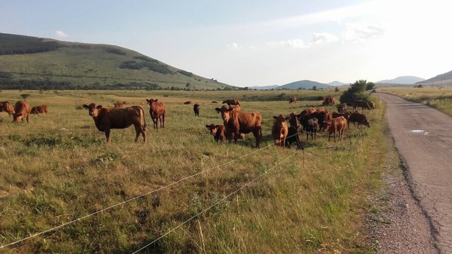 Dodatnih 4 milijuna kuna za područja naseljena nacionalnim manjinama