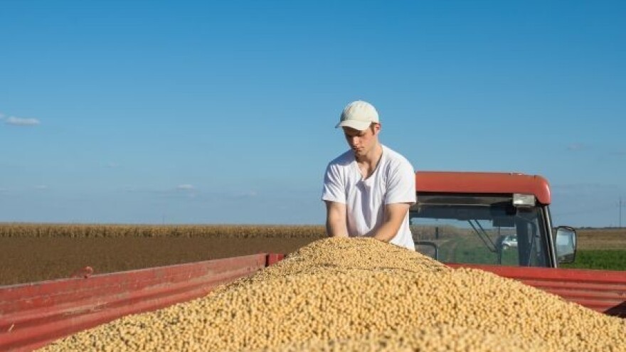 Pad poljoprivredne proizvodnje za 10 odsto!