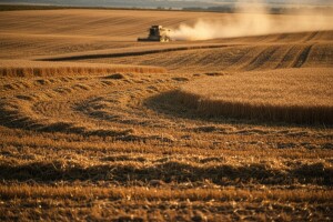 Poljoprivredna proizvodnja u Srbiji za 2012. godinu manja za 20 posto