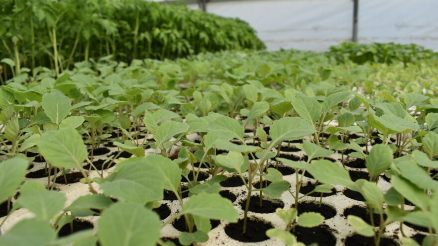 Okrugli stol: Kako hrvatska industrija vidi novi Zakon o sjemenu