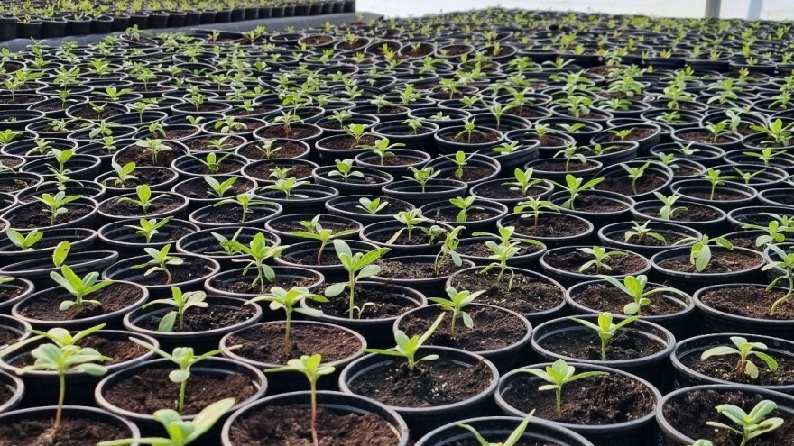 Nastavak dijaloga: Zakon o sjemenu prezentiran na virtualnom okruglom stolu