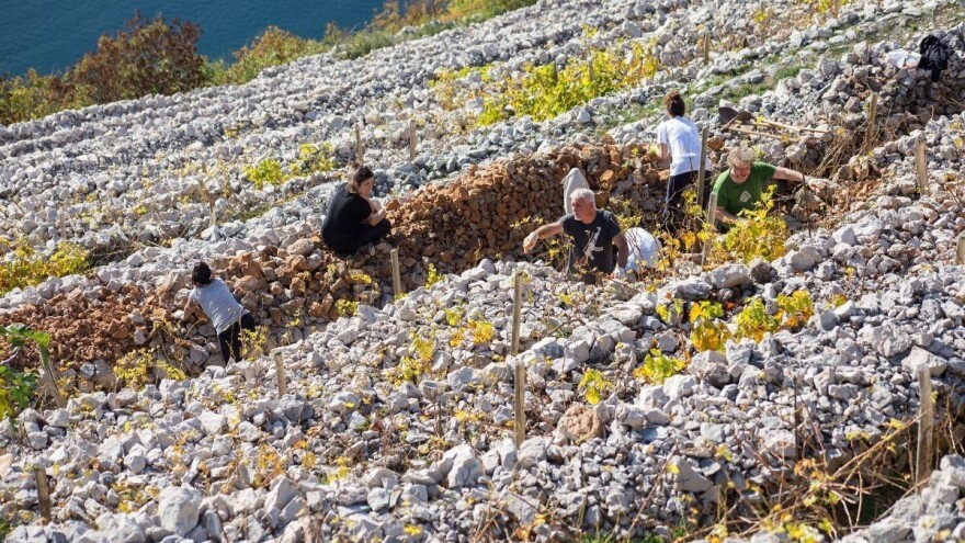 U Italiji se može posvojiti poljoprivredna terasa - ideja i za nas?
