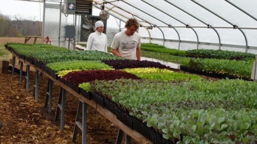 Turci ulažu u poljoprivrednu proizvodnju na Kosovu