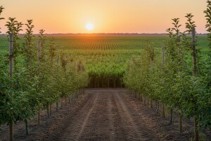 Poljoprivredni glasnik broj 3 / 12