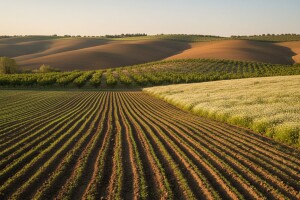 Poljoprivredni glasnik broj 3 / 14