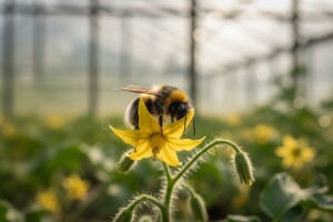 Poljoprivredni glasnik broj 4 / 10