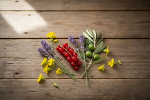 Poljoprivredni glasnik broj 4 / 11