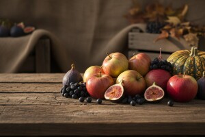 Poljoprivredni glasnik broj 6 / 12