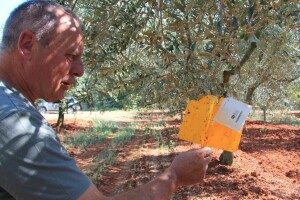 One koji žele raditi, trebalo bi vući za rukav da uzmu zemlju, a ne da za nju moraju moliti