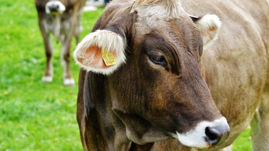 Poduzetničke i obrazovne mogućnosti u poljoprivredi