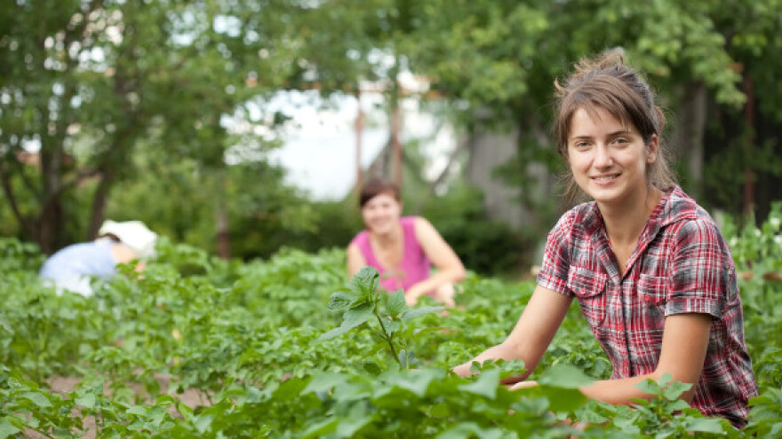 Kolika je uloga žena u organskoj proizvodnji?