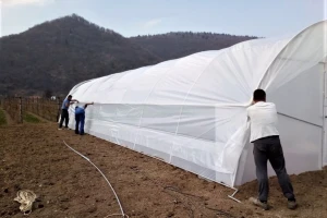 Zabrana kretanja tokom Vaskrsa: Šta će biti sa poljoprivrednicima?