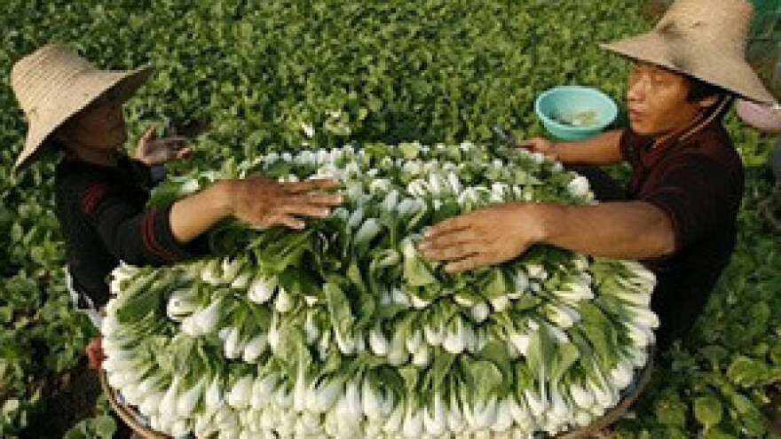 Evo zašto kažu da Kina ima najgore farme na svijetu