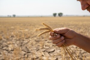 Poljoprivrednici obećavaju: Hrana neće poskupjeti