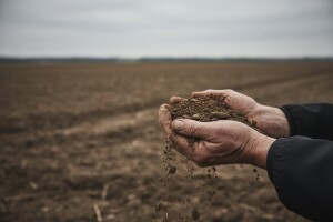 Poljoprivrednici ostali bez sadnica