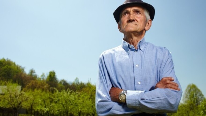 Prva javna dražba &quot;ilegalne&quot; voćne rakije