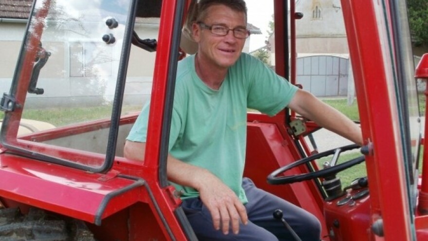 Žetva pšenice sve bliža, isplativost upitna