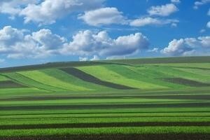 Poljoprivredno zemljište u Srbiji strancima na prodaju od 2017.