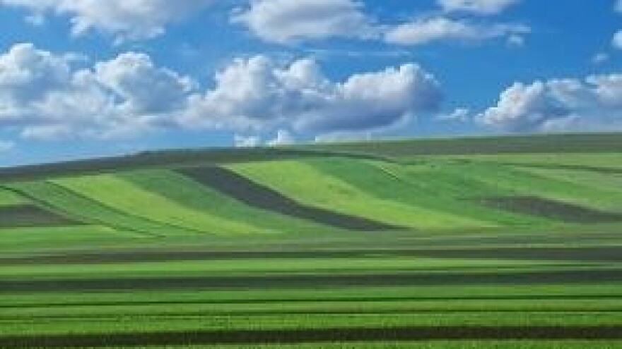 Poljoprivredno zemljište u Srbiji strancima na prodaju od 2017.