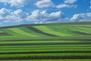 Nacrt prijedloga zakona o poljoprivrednom zemljištu