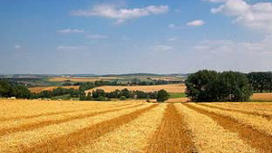 Seljaci i dalje sumnjaju u namještaljke