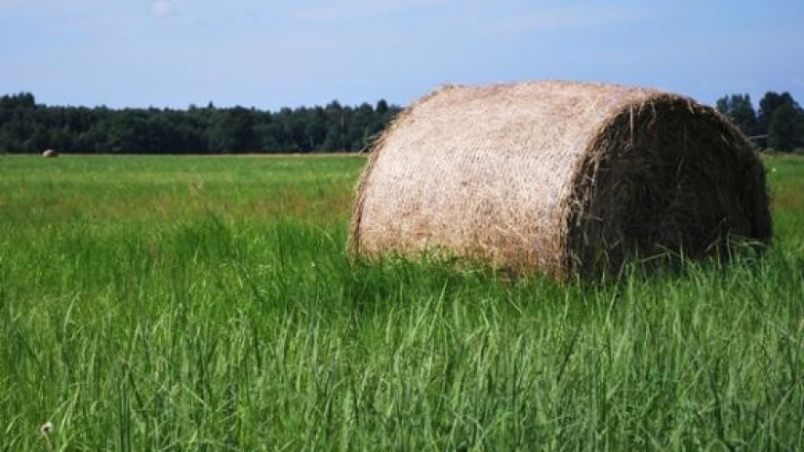 Raspolaganje državnim zemljištem