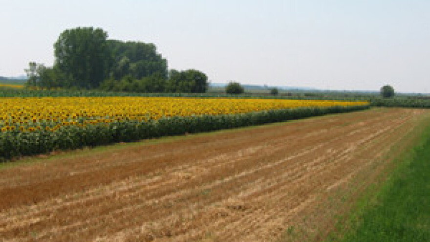Izglasan 20-godišnji zakup državne zemlje
