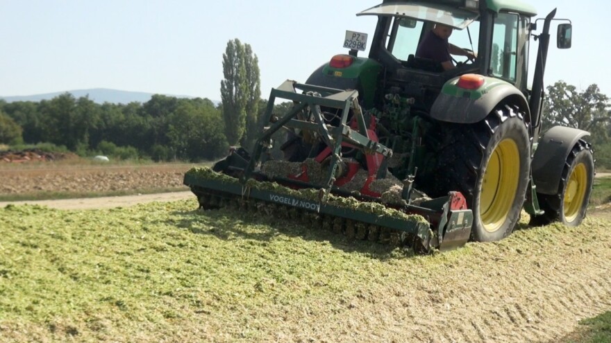Na OPG-u Kmetić zadovoljni silažom: Klipovi manji, ali ima mase