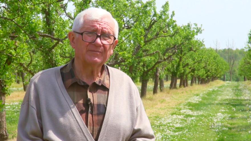 Solitarne pčele u voćnjaku Ive Pavića - njegov zadatak je pripremiti trstiku