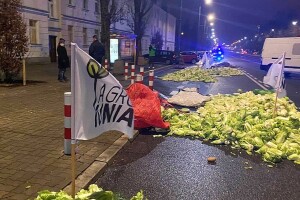Poljski poljoprivrednici ispred kuće vicepremijera iskrcali jaja, kupus i zaklane svinje