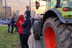 Poljski poljoprivrednici stali na granicu i brojali kamione sa svinjama iz Njemačke