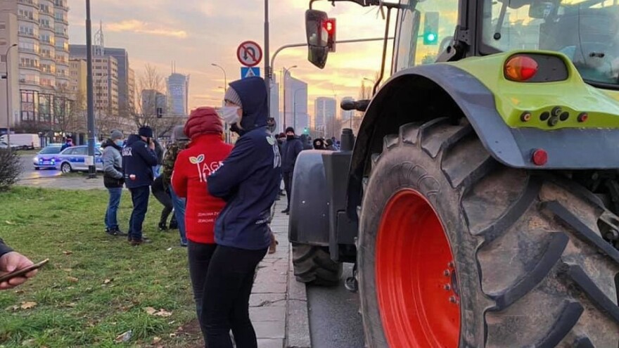 Poljski poljoprivrednici stali na granicu i brojali kamione sa svinjama iz Njemačke