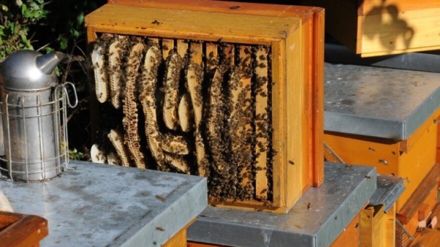 Stigla pomoć i za pčelare!