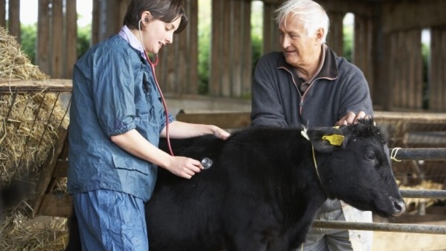 Žurna isplata preostalog iznosa izravnih plaćanja!