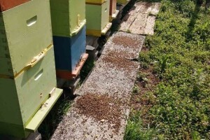 Kraj neodgovornom korištenju pesticida, slijedi veća kontrola upotrebe na terenu