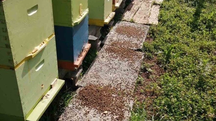 Kraj neodgovornom korištenju pesticida, slijedi veća kontrola upotrebe na terenu