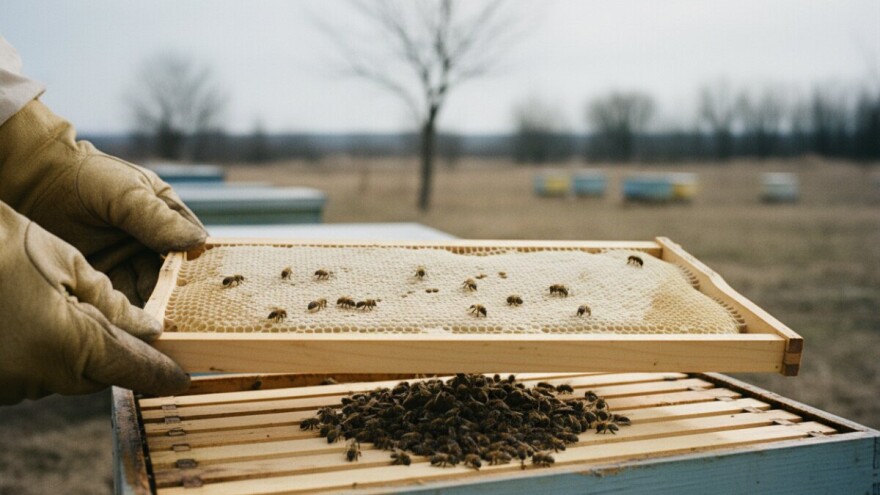 Pomor pčela diljem Hrvatske zvoni na uzbunu