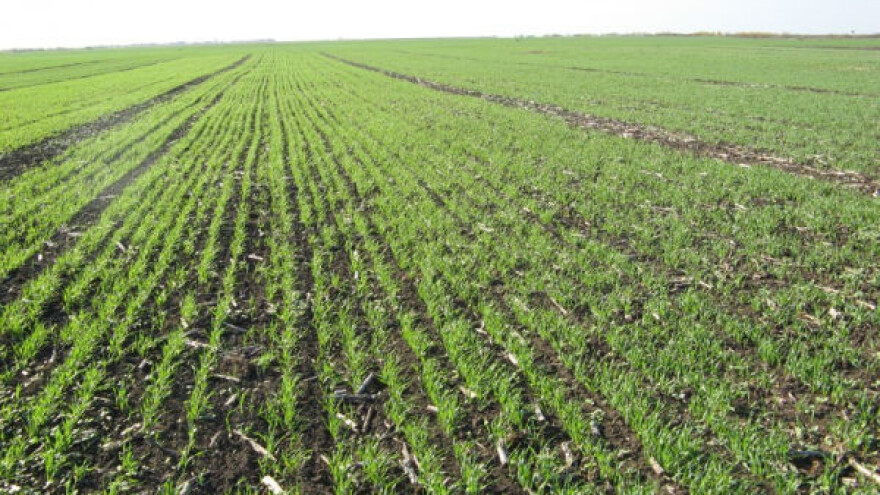 Temperature vazduha ponovo iznad proseka