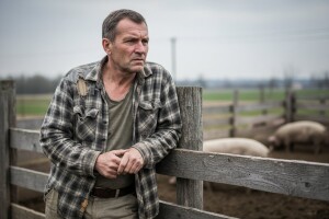 Ponovna zabrana izvoza živih svinja