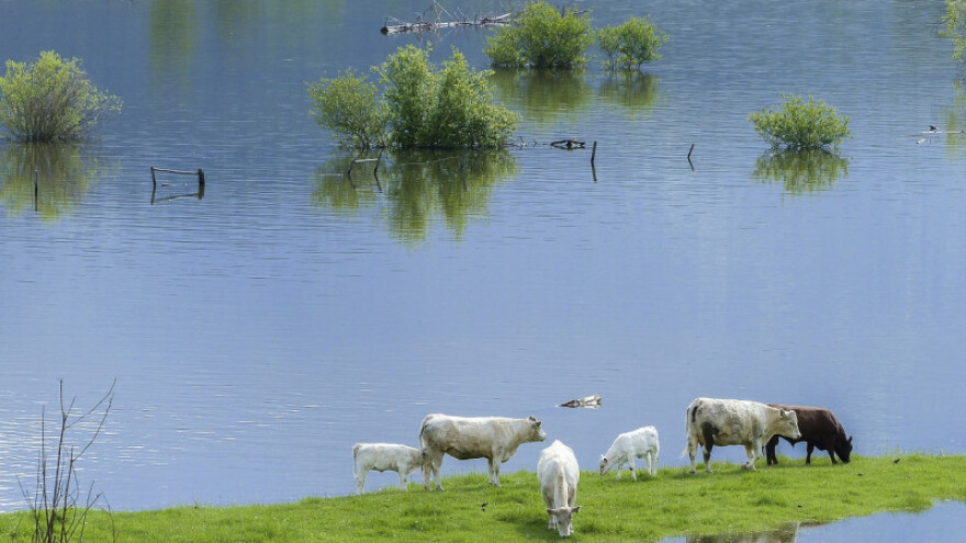 2.000.000 KM za naknadu štete od poplave