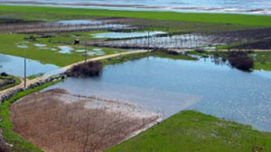 Voda prijeti netom zasijanim poljima