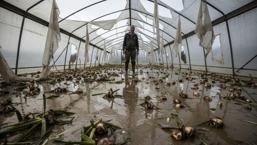 Poplava im uništila 50.000 zumbula