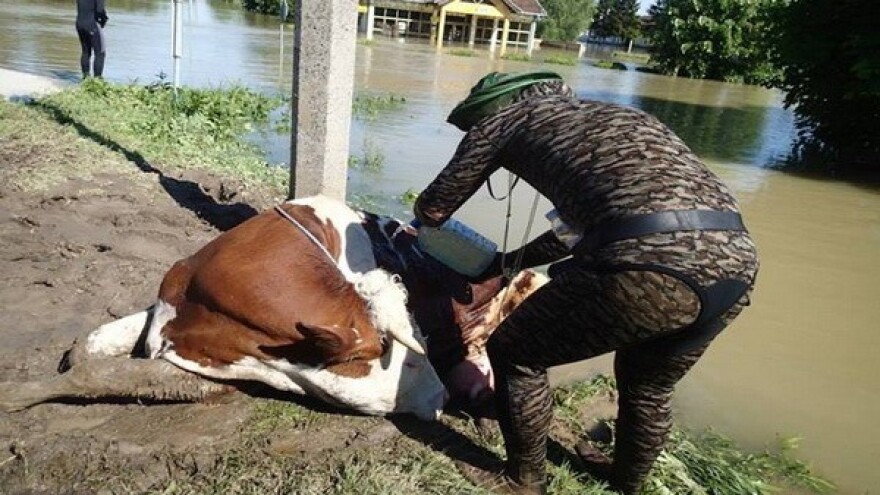 Veterinarski pregled stradalih gospodarstava!