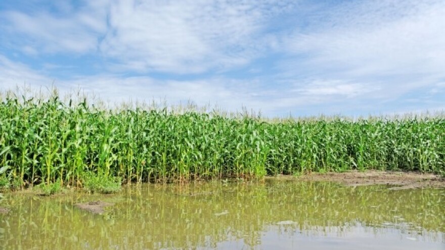 U poplavama uništeni deseci tisuća hektara usjeva!