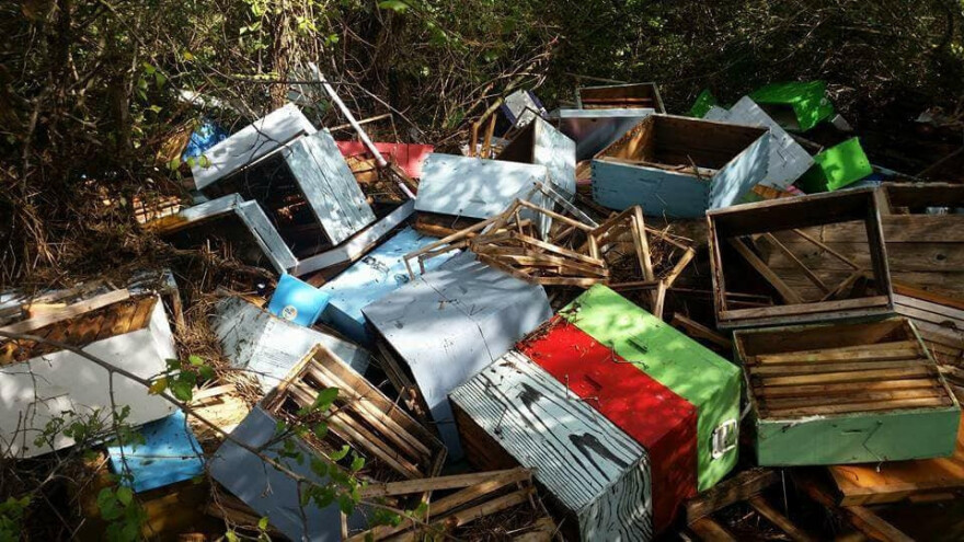 Pčelari u akciji prikupljanja pomoći za zadarskog kolegu