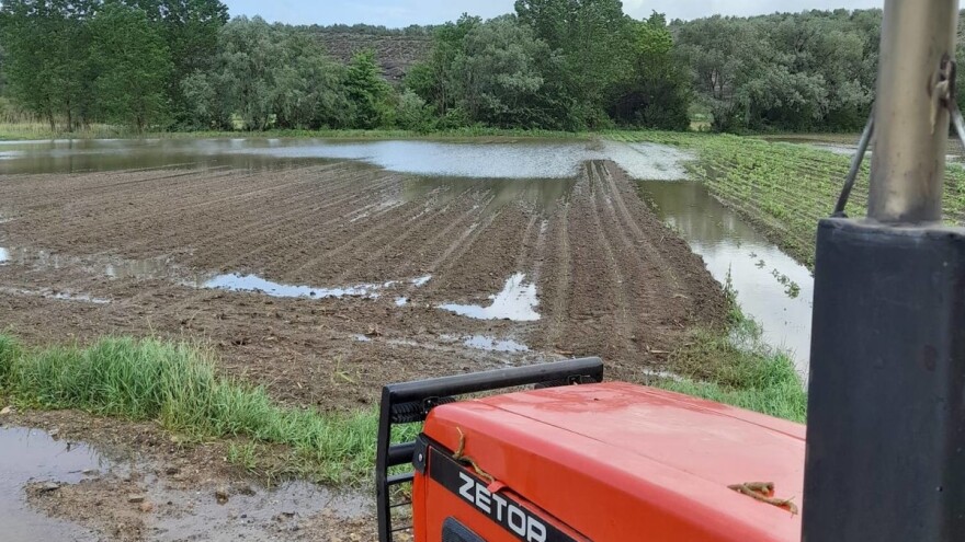 Voda na polju: Presijavati, razbijati pokoricu, koristiti biostimulatore?
